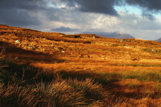 stormy clouds and sky over Connemara mountains, golden grassy fileds, Galway, Ireland