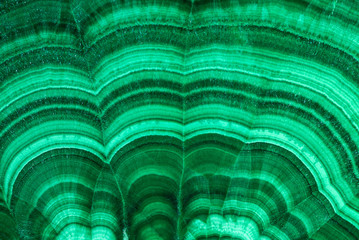 Close- up texture of green semiprecious stone malachite - obrazy, fototapety, plakaty
