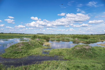 Spring flood in the field. Colorful swamp in the shake. Land reclamation on the territory and in the world. Landscape of a road in the water