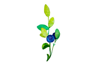 blueberry branches with green sprigs and blue and purple berries on a white background, isolated on a white background illustration of watercolor paints