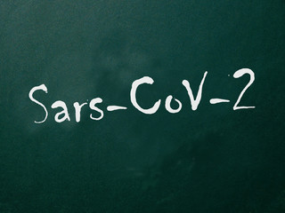 Fototapeta premium Coronavirus Sars-CoV-2