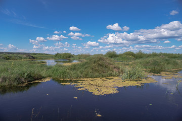 Spring flood in the field. Colorful swamp in the shake. Land reclamation on the territory and in the world. Landscape of a road in the water