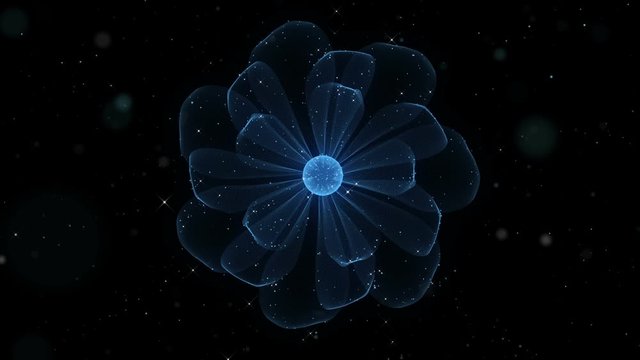 Beautiful Flower Background. Blue Particles with Shimming Stars. Loop