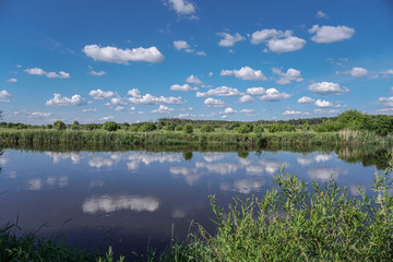 Beautiful spring river in the flowing nature. Colorful landscape in the morning and evening. Travel to deserted places of the world. Stock photo for design