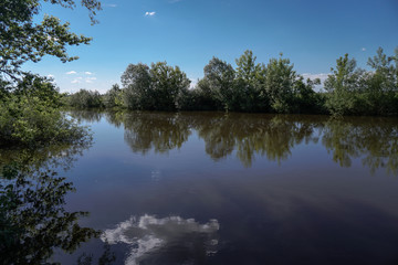 Beautiful spring river in the flowing nature. Colorful landscape in the morning and evening. Travel to deserted places of the world. Stock photo for design