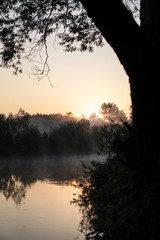 Fototapeta premium Beautiful morning river, a lake in light fog and the rays of the sun. Trees and bushes glow in the evening. Stock nature background for design.