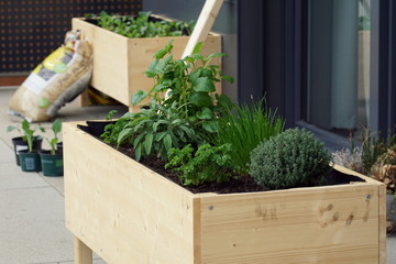 home made raised bed with different herbs on a balcony