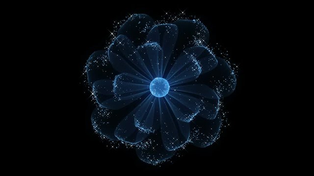 Beautiful Flower Background. Blue Particles with Shimming Stars. Loop