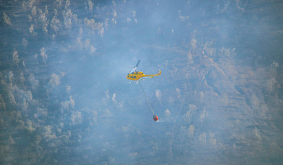Firefighters battling a wildfire burning a forest of trees on a mountain.