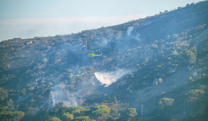 Plakat Firefighters battling a wildfire burning a forest of trees on a mountain.