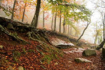 Montseny