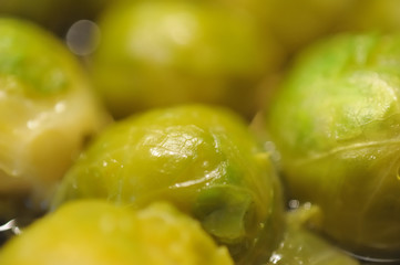 Nice sprouts cooking for a healthy meal