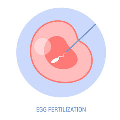 In vitro fertilization concept, artificial fertilization of woman egg