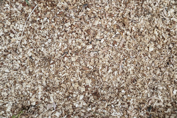 Decrepit texture of wood and sawdust. Stock background for design. Shattered materials