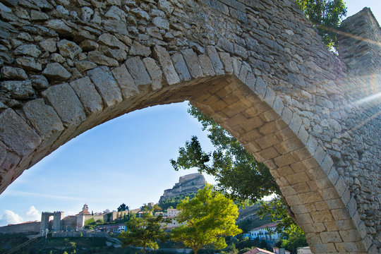 Morella