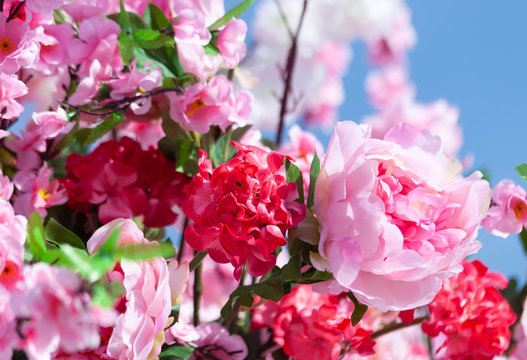 flovers