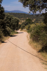 Camino de tierra en el campo