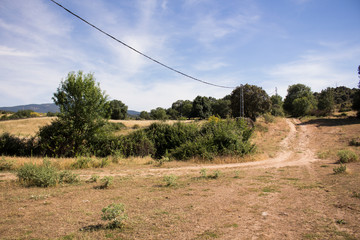 Camino de tierra en el campo