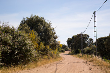 Camino de tierra en el campo