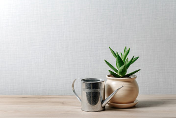 Composition with aloe flower in a ceramic pot and metal watering