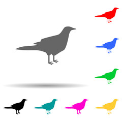 silhouette of a bird multi color style icon. Simple glyph, flat vector of zoo icons for ui and ux, website or mobile application