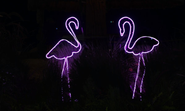 Electric neon sighn of the summer. Flamingo, clouds, lightning, water drops and the text: @coco plzzz..Night club signs.