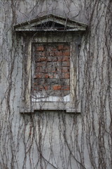 Textures of the old city