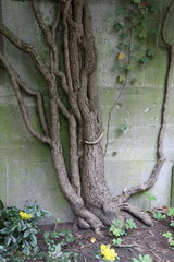 Textures of the old city