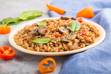 Spelt (dinkel wheat) porridge with vegetables and mushrooms on ceramic plate on a gray concrete background. Side view, selective focus.