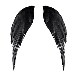 two real black angel wings with big feathers isolated on white background