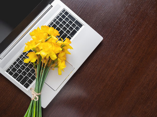 Bouquet of Narcissus or daffodils lying on silver metal laptop. Top view on bright yellow flowers...
