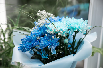 A bouquet of blue and sky blue chrysanthemums and gypsophila stands on the window. Green flower background