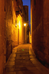 Fototapeta na wymiar Narrow streets of Mdina, ancient capital of Malta. Night view on illuminated buildings and wall decorations of ancient town.