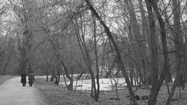 View from back of two senior women walking together in winter park. Black and white 4k filtered video.