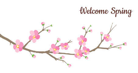 Welcome Spring card with blossoming Japanese cherry branch with pink flowers.