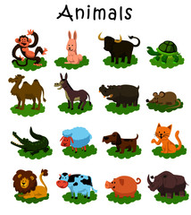 Obraz premium animals set