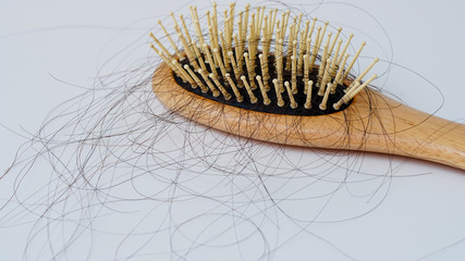 Hair loss, Solutions for hair loss,Hair loss on comb,on white background.