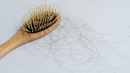 Hair loss, Solutions for hair loss,Hair loss on comb,on white background.
