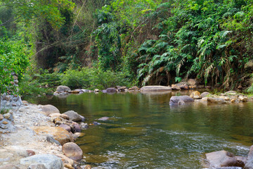 Naklejka na ściany i meble Pond of waterfall with tropical green forest.