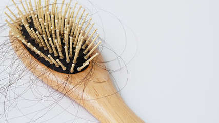 Hair loss, concept Solutions for hair loss, Hair loss on comb, on white background.