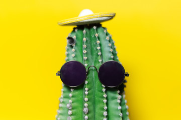 Close-up portrait of green cactus wearing mexican hat and sunglass, isolated on background of yellow color.