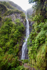 Risco waterfall on madeira island, portugal, in the middle of the tropical forest