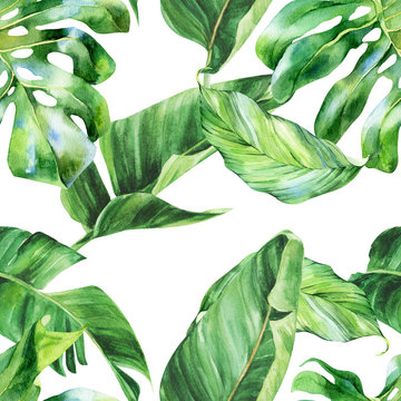 Watercolor seamless pattern, tropical leaves on an isolated background, watercolor painting, botanical illustration, floral design, banana palms, monstera, strelitzia.