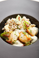 Scallop with green buckwheat closeup view