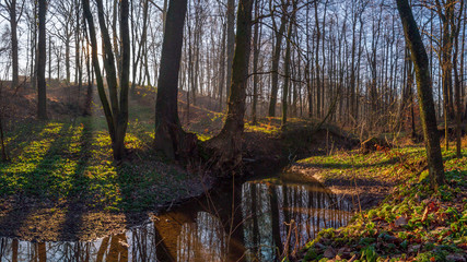 Winter sunrise in a forest with a stream, sunbeams and shadows