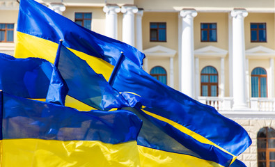 Ukraine blue yellow flags evolving on a wind near town hall classic architecture building with...