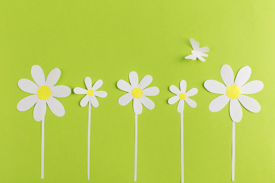 Paper Daisy With Buterfly On A Green Background