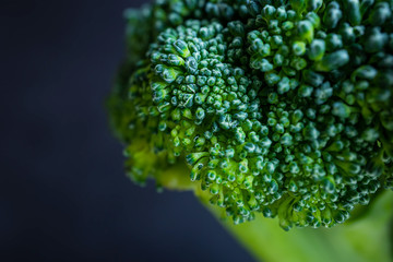 Fresh broccoli close-up. Background macro photo of food. The concept of wholesome food, veganism. Dark background.