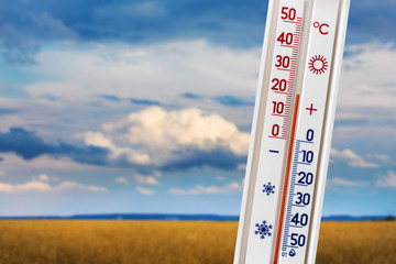 The thermometer on the background of the field shows 20 degrees of heat_