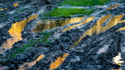 Puddles on a rural dirt road at sunset_